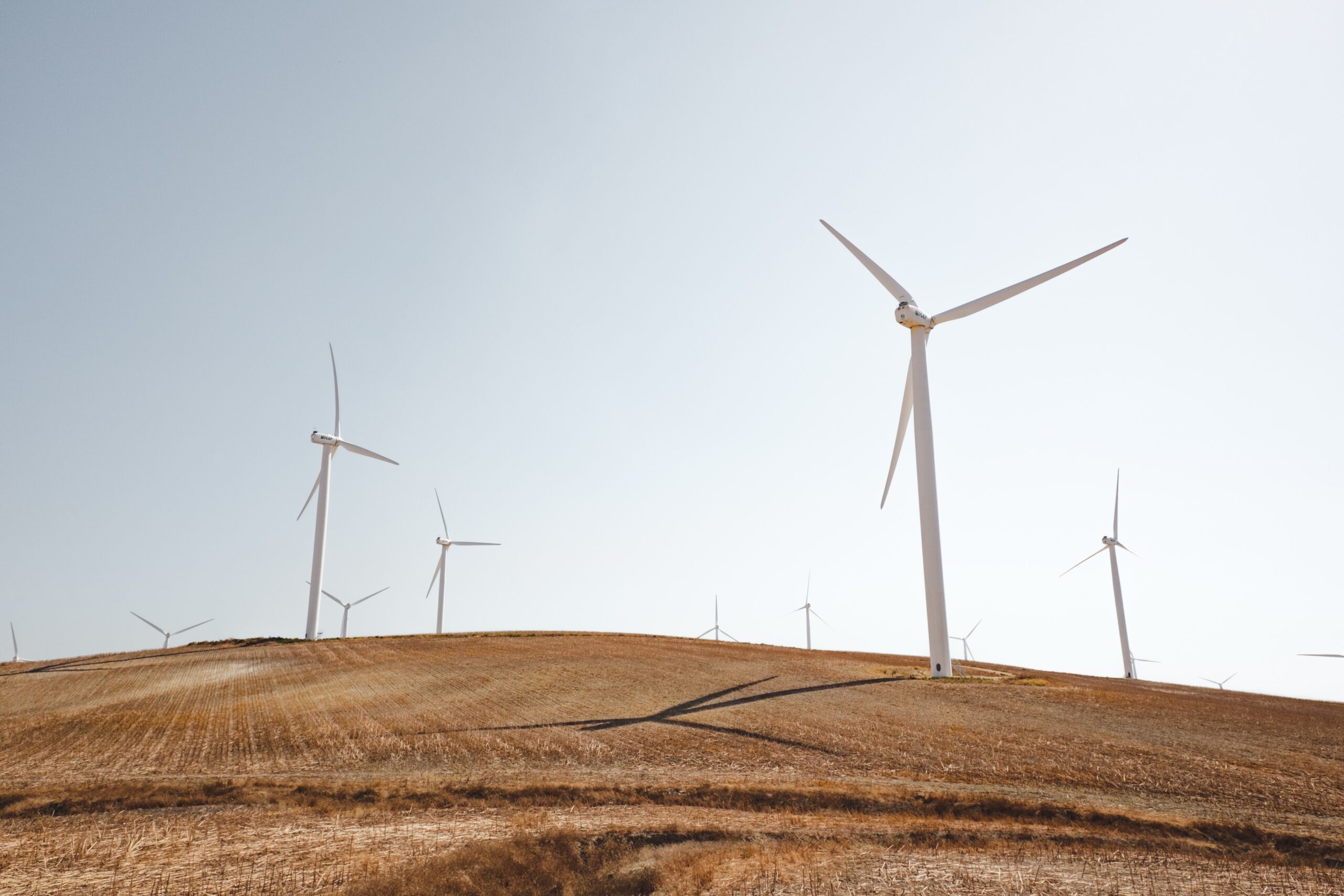 CLIMATE CHANGE LAW- Junior Law Program