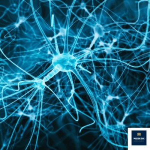 ANIMAL RESEARCH REGULATIONS & IACUC COMPLIANCE